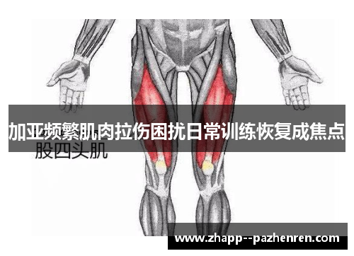 加亚频繁肌肉拉伤困扰日常训练恢复成焦点