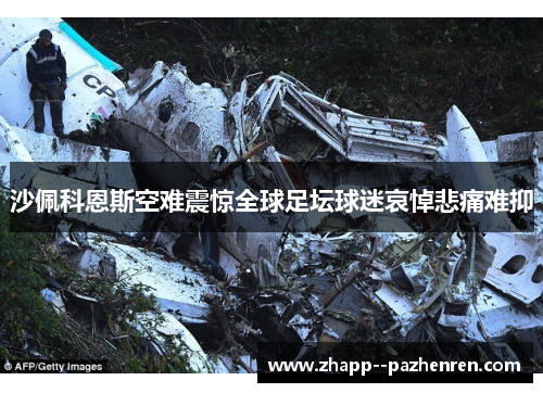 沙佩科恩斯空难震惊全球足坛球迷哀悼悲痛难抑 沙佩科恩斯空难震惊全球足坛球迷哀悼悲痛难抑