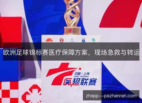 欧洲足球锦标赛医疗保障方案,现场急救与转运 欧洲足球锦标赛医疗保障方案,现场急救与转运